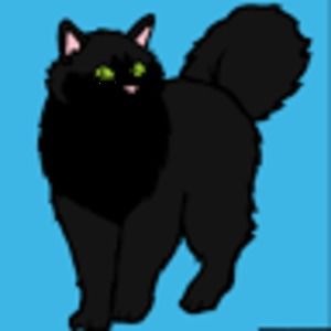 Meet your Posher, Scarlett